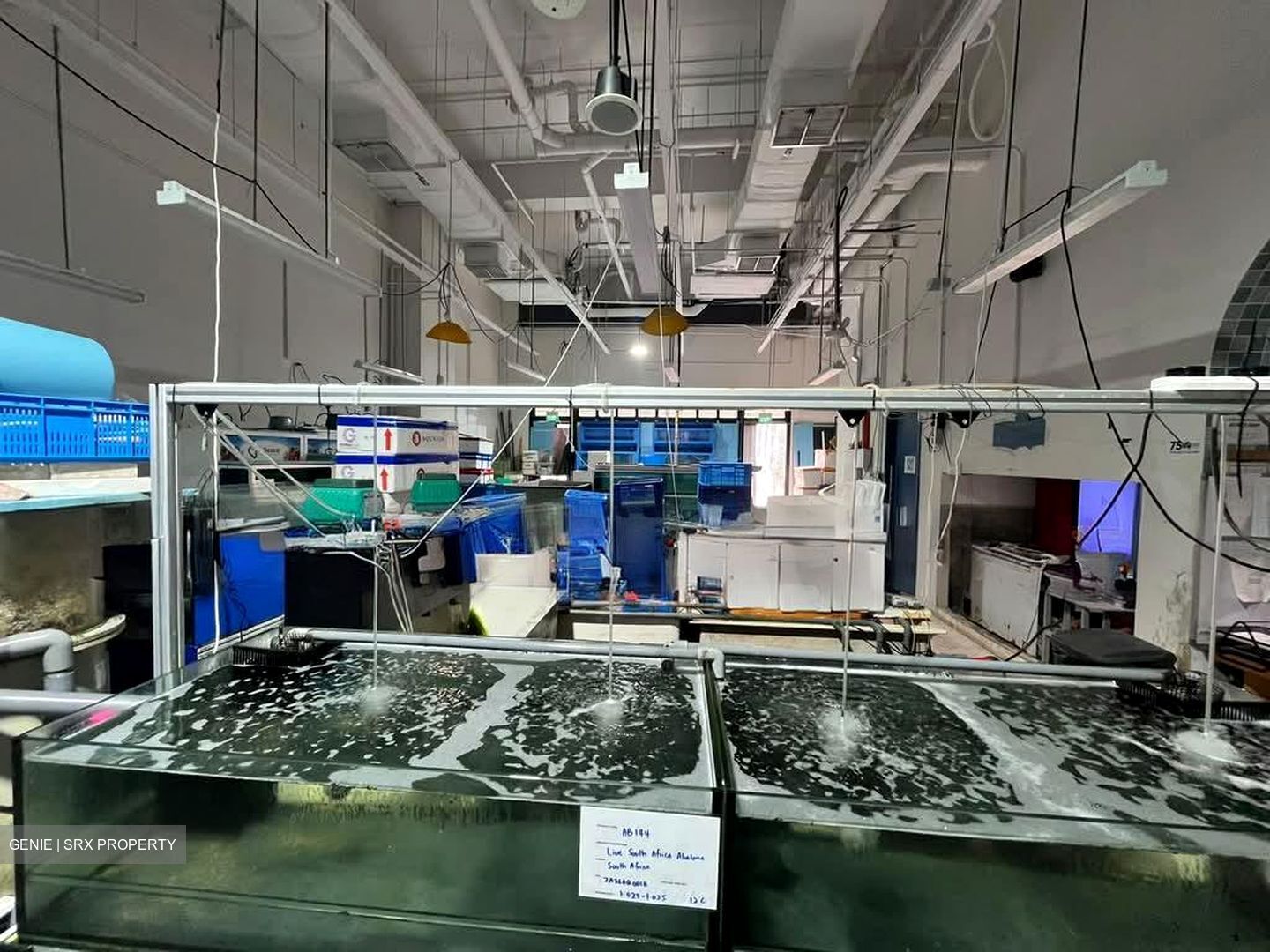 JTC Space @ Tampines North (D18), Retail #600107521